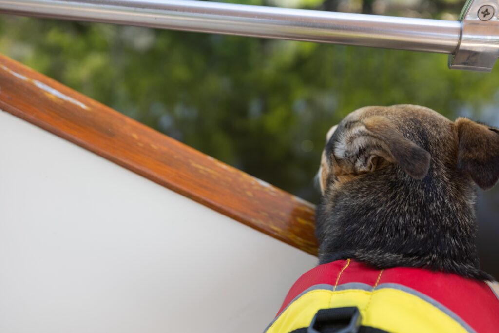 Boat Dogs on America's Great Loop