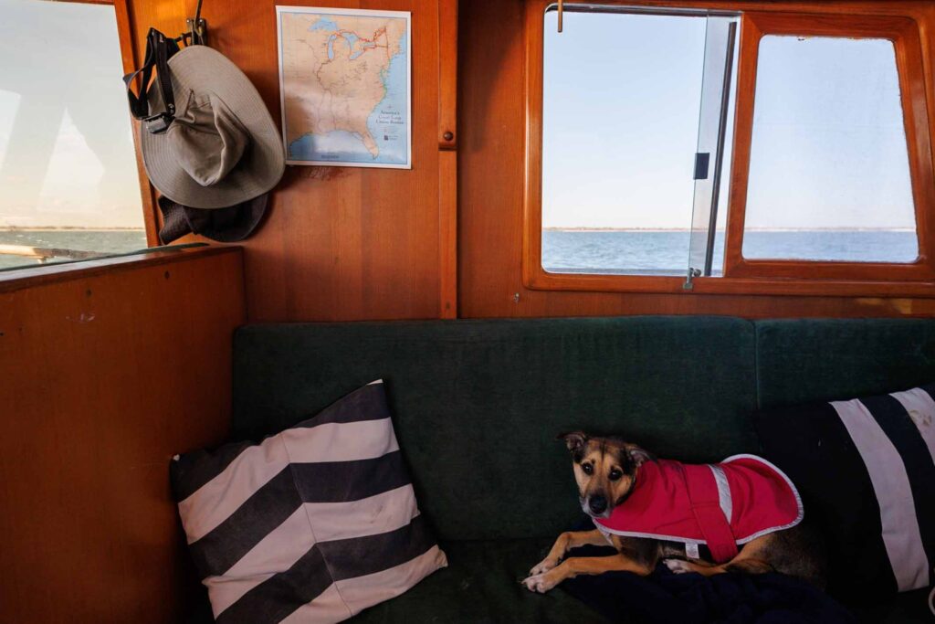 Boating with a Dog on America's Great Loop