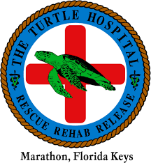 The Turtle Hospital Logo, Giving Tuesday boating organizations