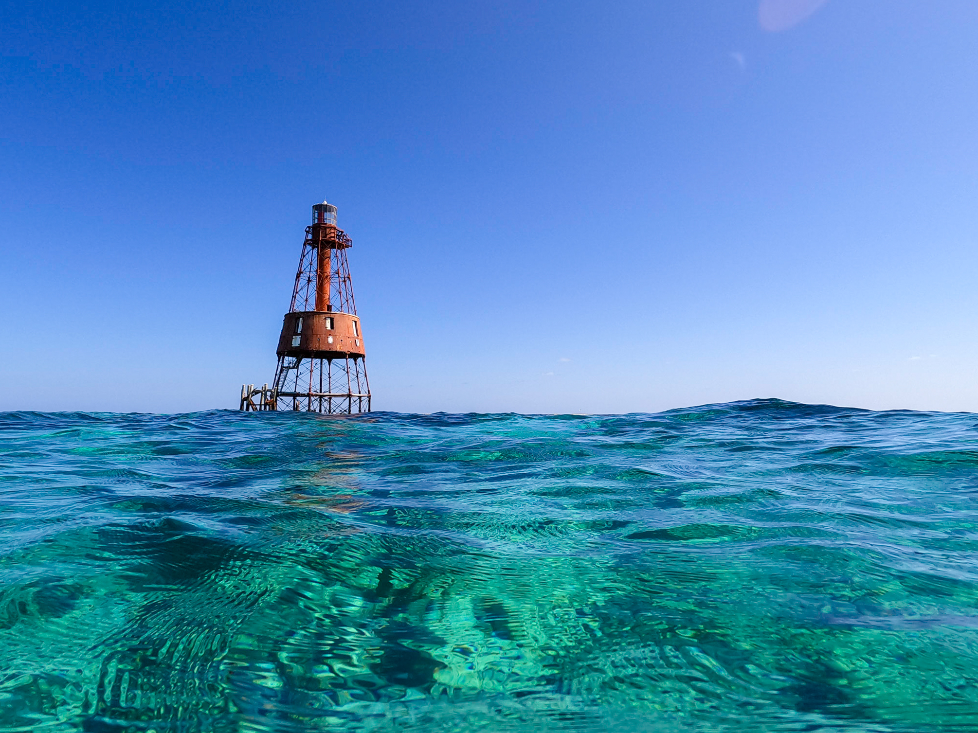 The 11 Best Snorkeling in Florida Locations