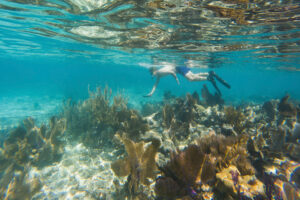 Elliot Snorkeling in the Florida Keys