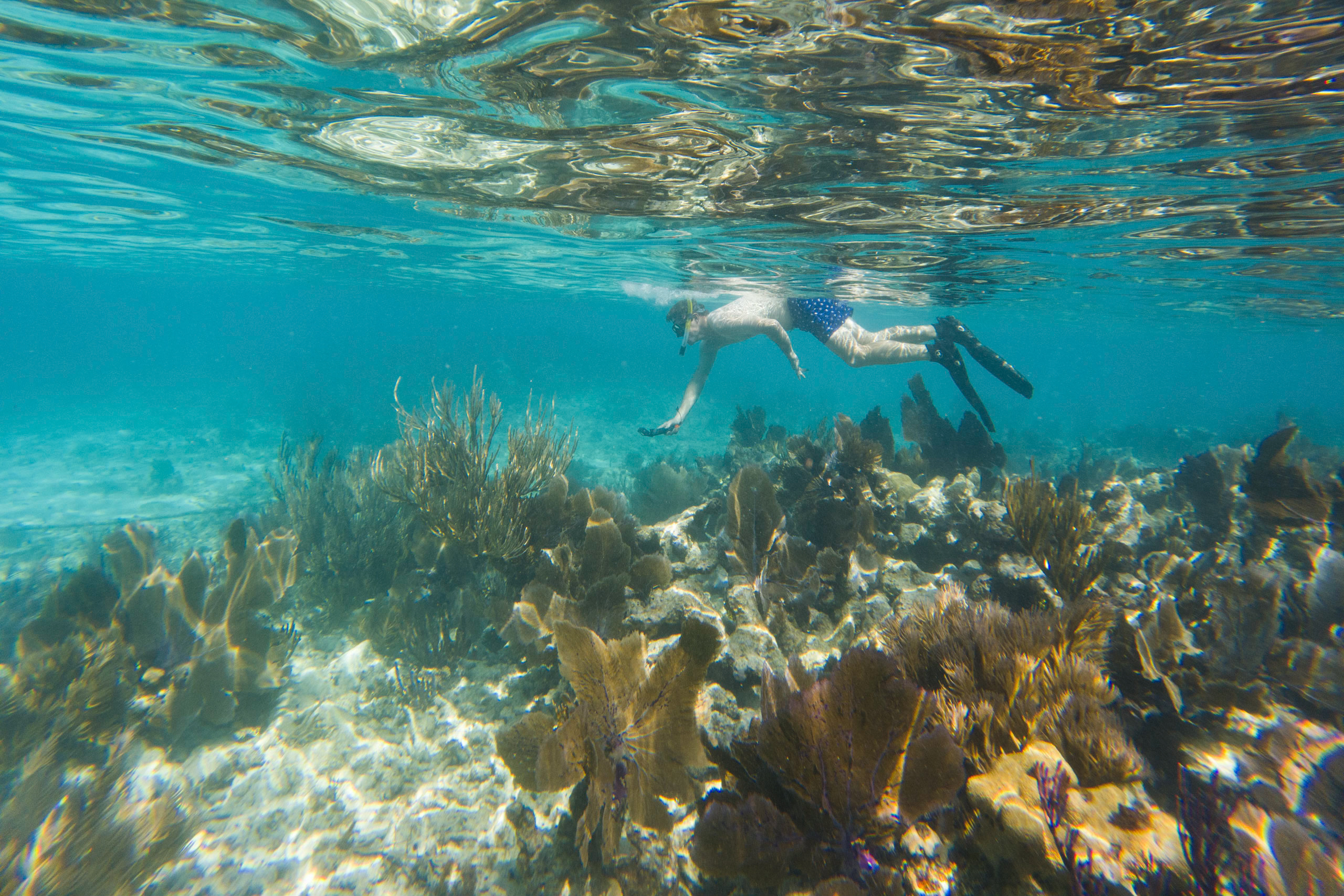 The Best Snorkeling in the Florida Keys
