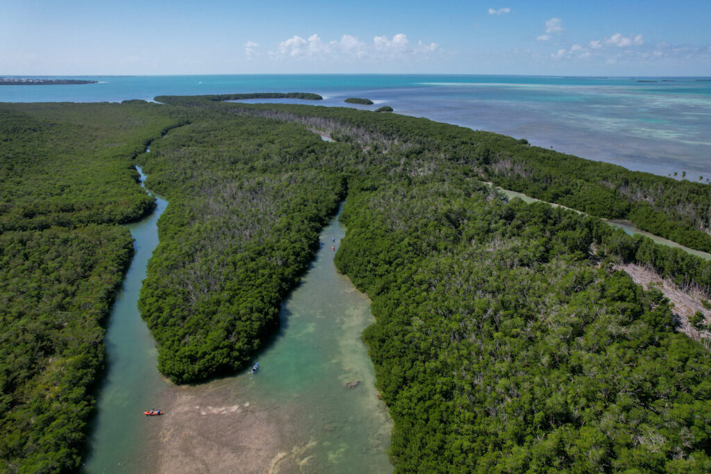 Drone shot of people kayaking in Florida Keys mangroves 