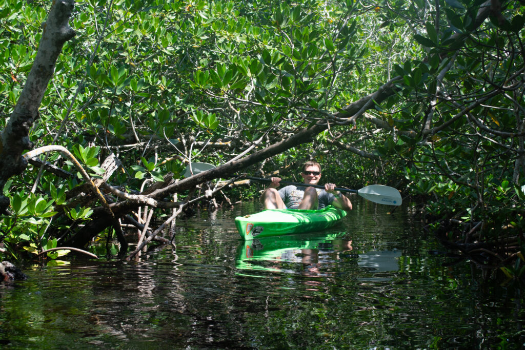 Jacob kayaking through mangrove tunnels; Florida Keys Kayaking