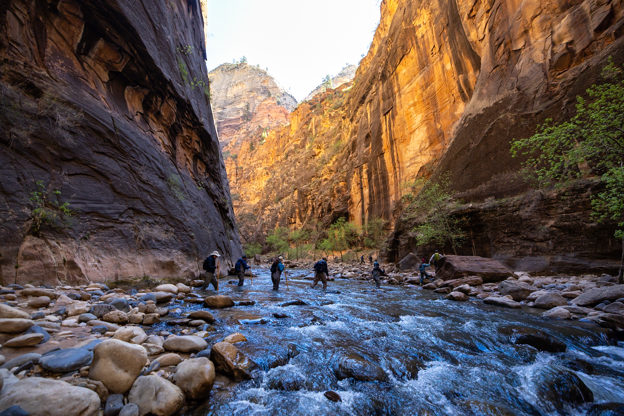 13 Best Hikes in Zion National Park (Ranked Easy to Hard)