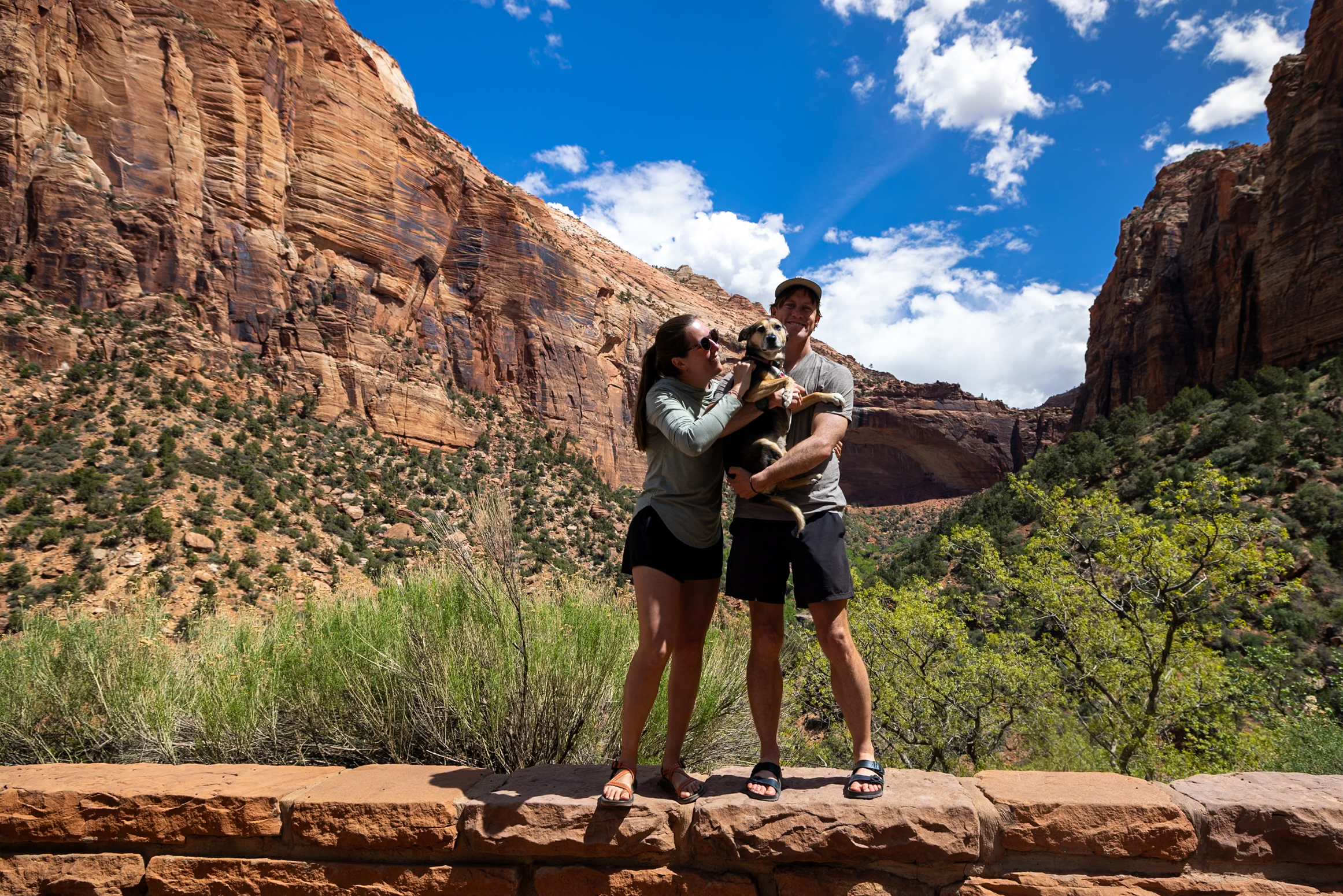 Our 7 Favorite Viewpoints in Zion National Park (No Hiking Required)